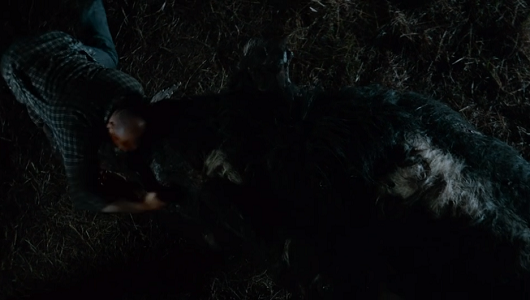 バーニーVS巨大人食いイノシシ