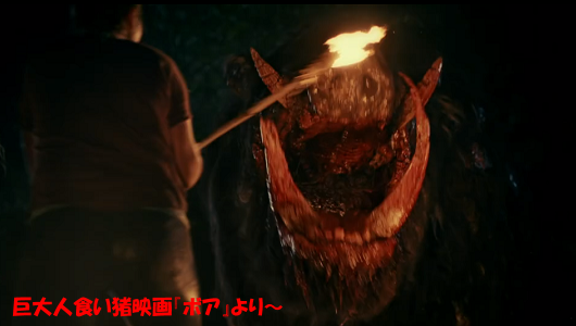 人を襲う巨大人食いイノシシ