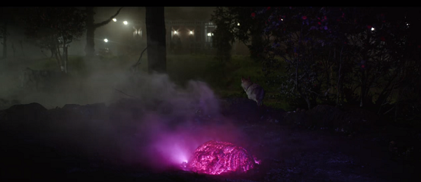 謎のピンクの物体