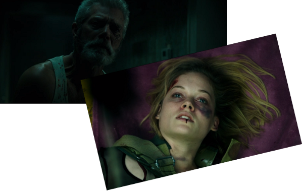 ノーマンとロッキー