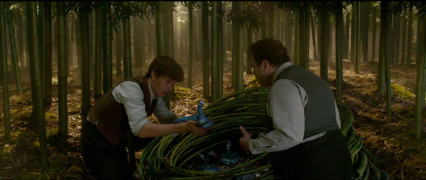 魔法生物保護施設内のニュート&ジェイコブ