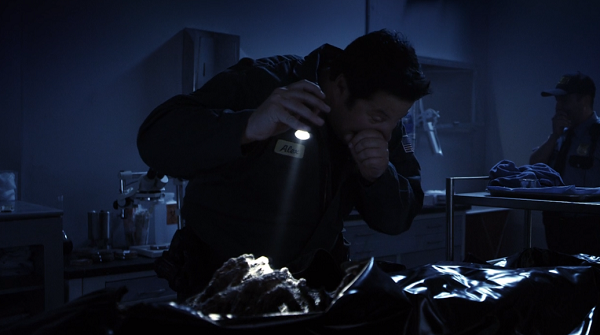 ɋ򂢔jꂽ̂𒲍AbNX