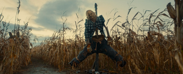 カカシのハロルド