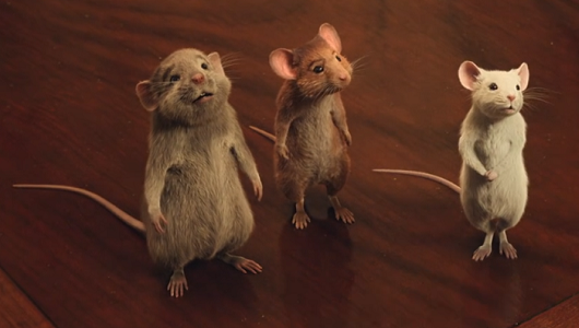 少年ネズミ達